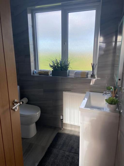 'Little Acre' Perfect For Business Or Pleasure Appartement Portadown Buitenkant foto